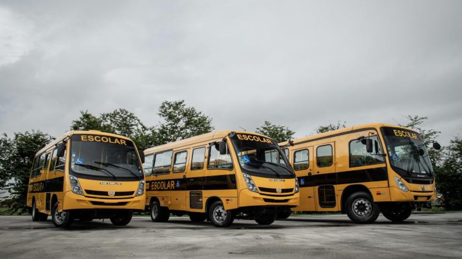 Caminho da Escola