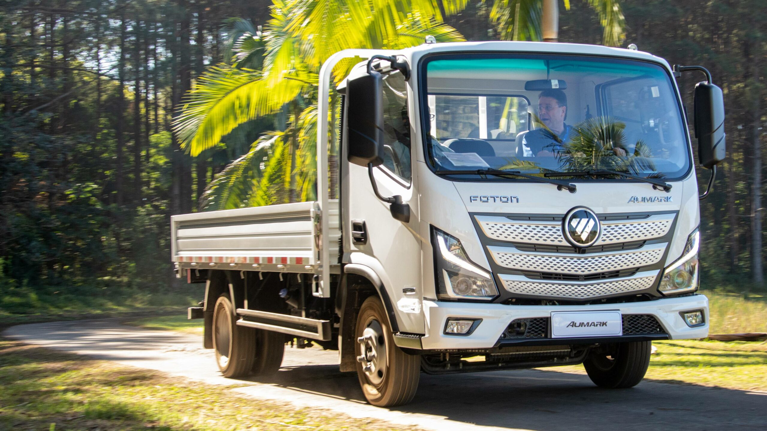 Foton, Aumark S 315