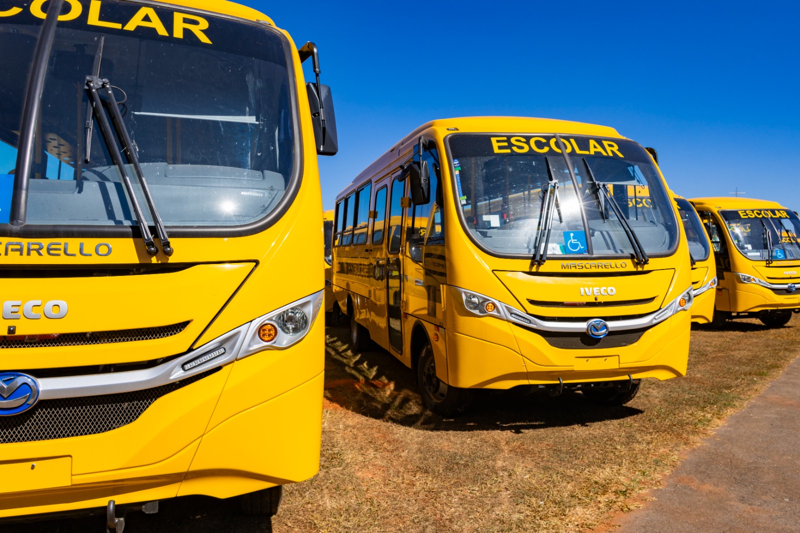Iveco Bus vai entregar 500 ônibus escolares para o Programa Caminho da Escola