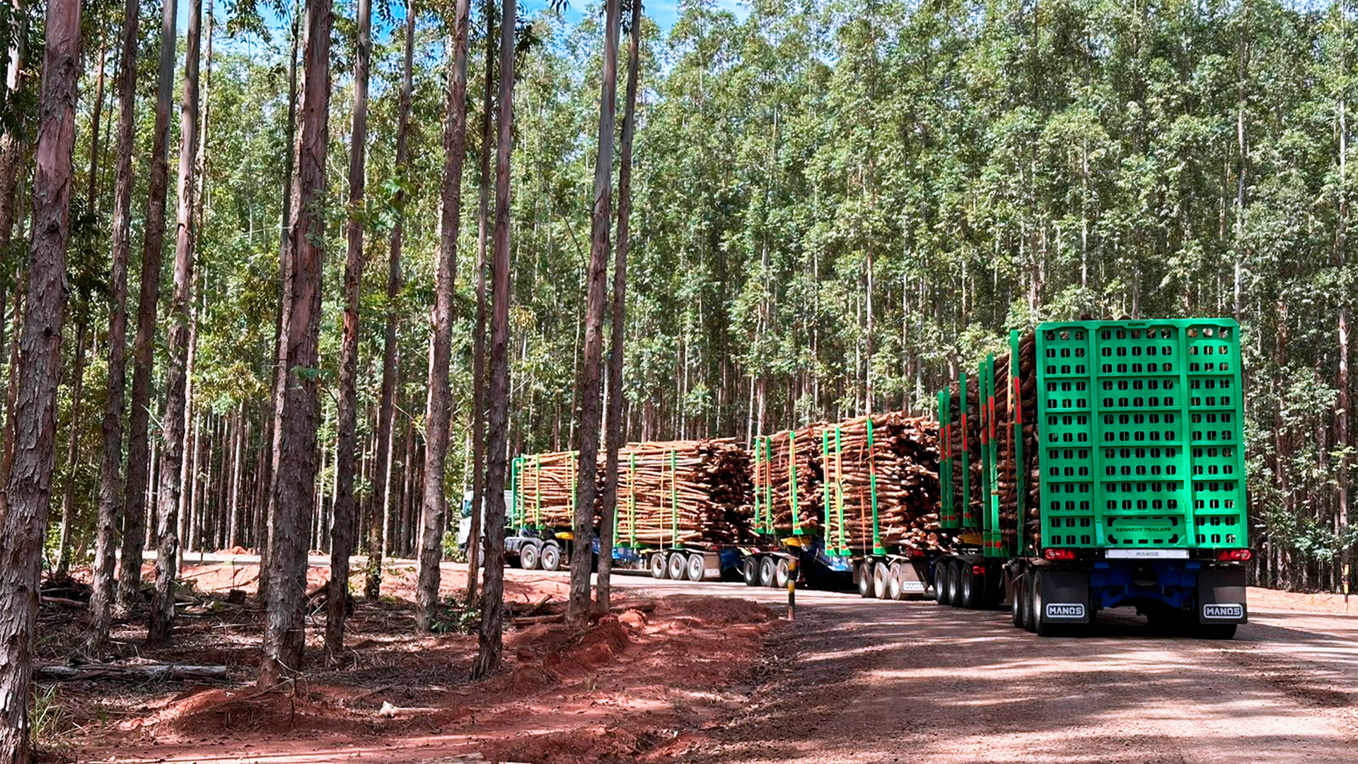 Biocombustíveis podem cortar 800 milhões de toneladas de CO₂ no Brasil até 2030