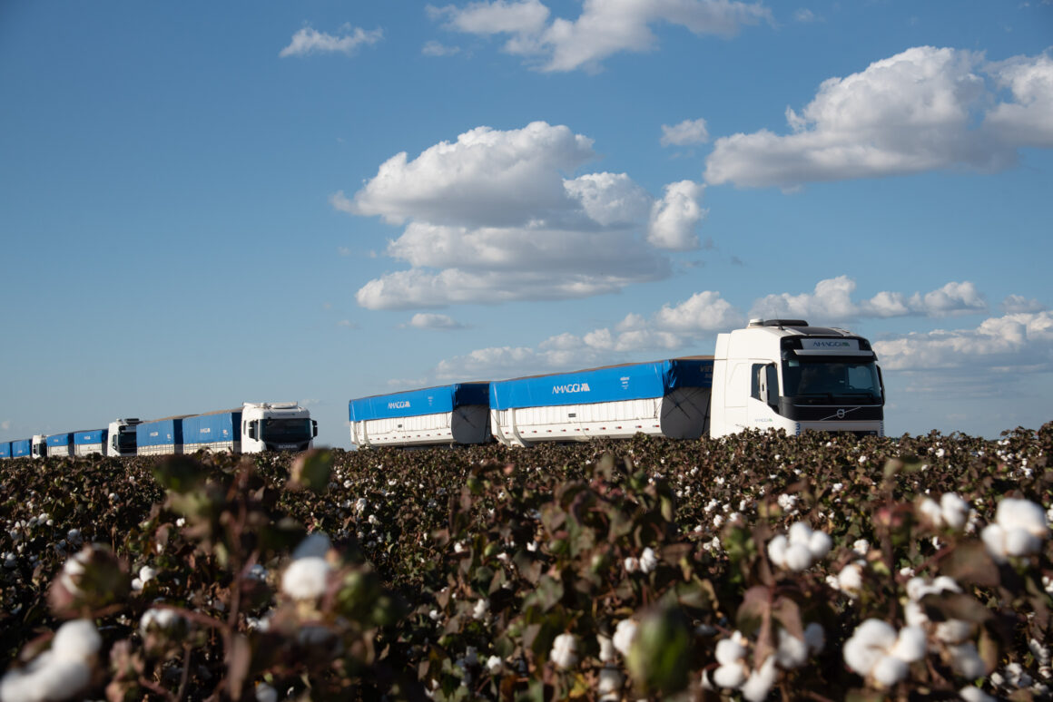 Mercado de caminhões, ônibus e implementos inicia agosto em queda