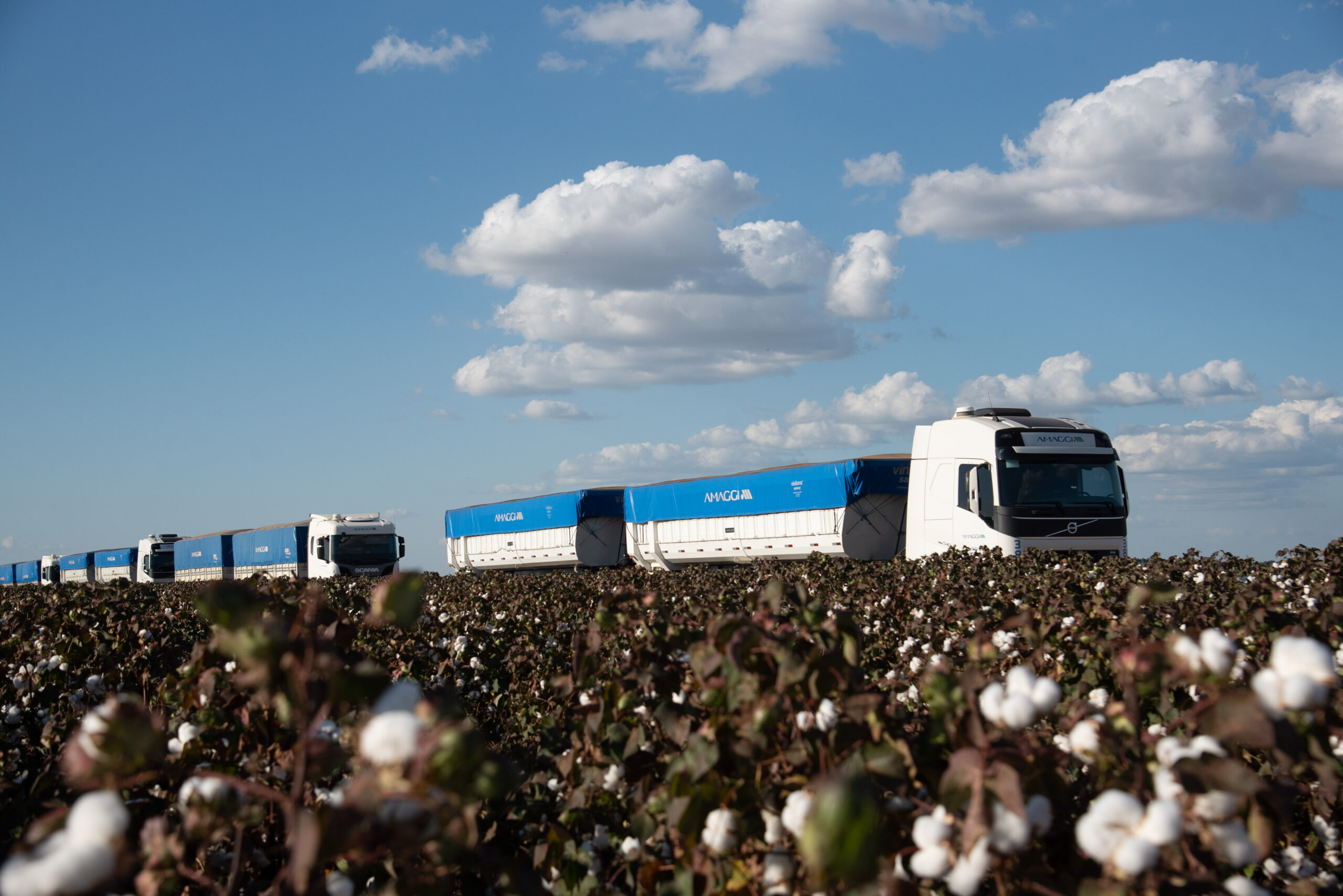 Mercado de caminhões, ônibus e implementos inicia agosto em queda