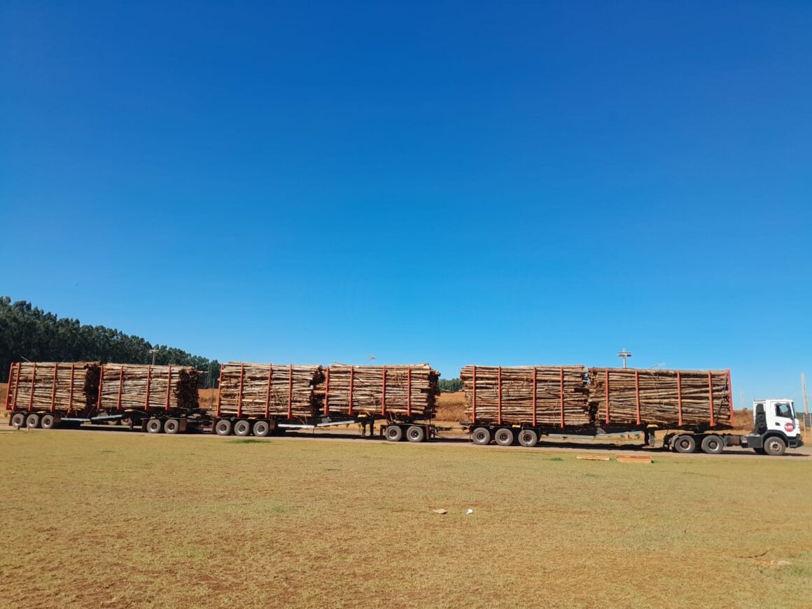 Manos entrega Megatrem atualizado para operações em MS e MG